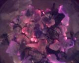 A picture of step 9 of Pilau.
