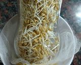Foto del paso 6 de la receta: Brotes de fenogreco