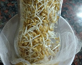 Foto del paso 6 de la receta: Brotes de fenogreco