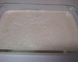 A picture of step 9 of Easy Sherbet with Egg White & Apple Juice.