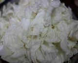 A picture of step 1 of Saute Napa Cabbage.
