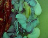 Foto langkah ke 2 dari resep Lodeh Kacang Kapri.