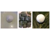 Hình bước làm 4 của món Bánh dày nhân đậu xanh ngọt 