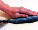 A picture of step 15 of How to Fillet a Whole Fish.