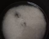 Bubur Ayam (Rice Coocker) langkah memasak 1 foto