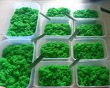 Foto langkah ke 4 dari resep Tape manis ketan putih.