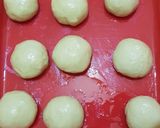 Foto langkah ke 2 dari resep Roti maryam.