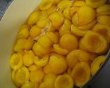 A picture of step 17 of Loquat Compote in 20 Minutes.