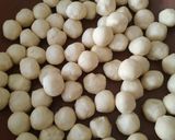 صورة لخطوة 1 من وصفة حلوة التمر (المعمول)