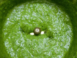 Balloon vine dosa
