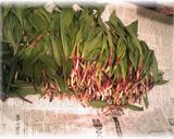 A picture of step 1 of Alpine Leek and Bean Sprout Soup.