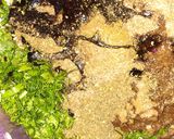A picture of step 9 of Iraqi Dolma 🥒🫑🍆🥔🍅🧅.