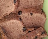Foto langkah ke 6 dari resep Bolu chocolatos chocochip.