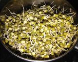 பச்சை பயறு வெந்தய கீரை சப்பாத்தி ரெசிபி ஸ்டேப் 3 புகைப்படம்
