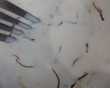A picture of step 6 of Paan E Bahaar.