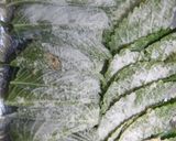 A picture of step 7 of Egoma Leaf Jeon.