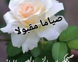 صورة لخطوة 9 من وصفة كيكة الكراميل الاسبانية