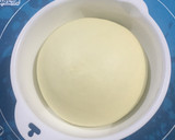Foto langkah ke 3 dari resep ROTI TAWAR / Japanese Basic Bread (eggless).