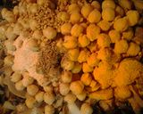 A picture of step 3 of Mushrooms Et cetera.