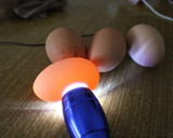Foto del paso 2 de la receta: Huevos cocidos a la inversa