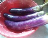 Foto langkah ke 2 dari resep Lodeh Terong, Tempe & Kacang Tolo.
