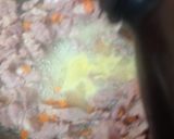 A picture of step 6 of My Sweet Gammon Bake with Potato Crunchies. 😘.