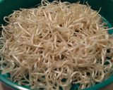 A picture of step 8 of Mandarin Chicken Spring Rolls.