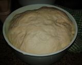 A picture of step 4 of PIZZA dough!.