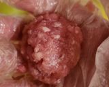Foto langkah ke 1 dari resep Bola - bola Daging Semur.