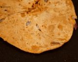 मिस्सी रोटी (Missi roti recipe in hindi) रेसिपी चरण 4 फोटो