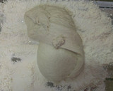 A picture of step 2 of Easy Small Sized Soft Baguettes＊Using a Bread Maker.