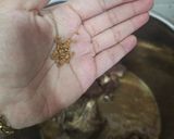 Gambar langkah 2 resipi Stew Daging Lembu dengan Barli.