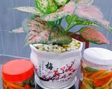 Hình bước làm 6 của món Dưa Món
