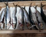 Foto del paso 5 de la receta Sardinas escabechadas