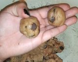 Foto del paso 5 de la receta: Galletas con Chips (tipo pepitos)