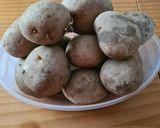 Foto del paso 5 de la receta 164. Patatas Especiadas al Horno