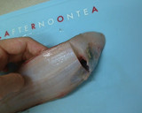 A picture of step 4 of How to Remove the Skin and Scales from Sole.