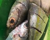 Foto langkah ke 1 dari resep Pesmol Ikan Kembung.
