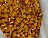A picture of step 4 of Sprouted Chickpeas.