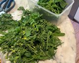 Foto del passaggio 1 della ricetta Pesto di senape selvatica 2
