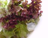 A picture of step 22 of Bento Fillers.