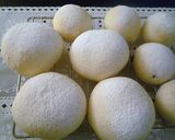 A picture of step 10 of My Favorite White Bread Rolls.