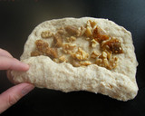 A picture of step 5 of Fig and Walnut Whole Wheat Bread.