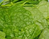 Hình bước làm 1 của món Canh mồng tơi chả cá thác lác