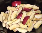 A picture of step 1 of Scrumptious Crock Pot Apple Crisp.