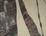 A picture of step 7 of Samoon Bread (Milk Bread, Pain au Lait).