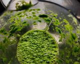 A picture of step 1 of Palak Uttapam.