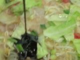 Tumis kubis tauge