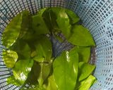 Foto langkah ke 10 dari resep Sayur lodeh.