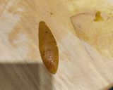 A picture of step 4 of Fafda.